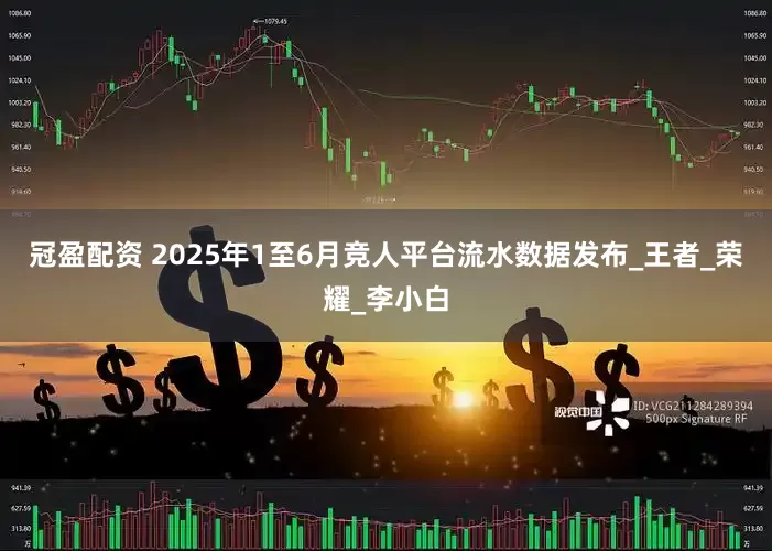 冠盈配资 2025年1至6月竞人平台流水数据发布_王者_荣耀_李小白