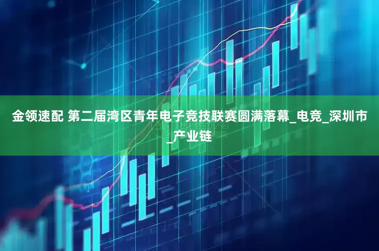 金领速配 第二届湾区青年电子竞技联赛圆满落幕_电竞_深圳市_产业链