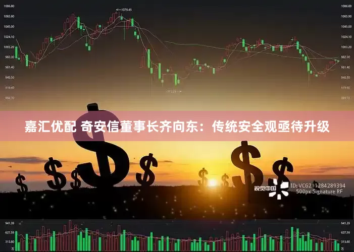 嘉汇优配 奇安信董事长齐向东：传统安全观亟待升级